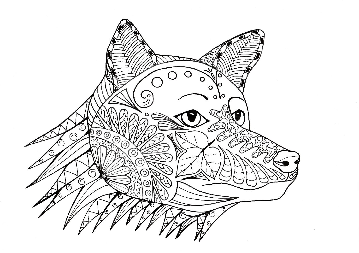 Coloring The Fox